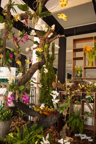 Enflor 2019-2994