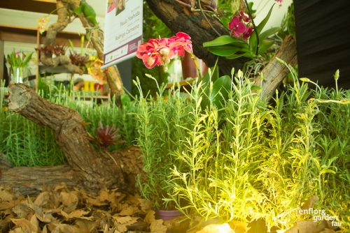 Enflor 2019-2998