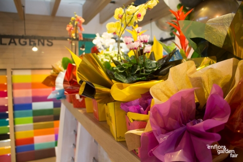 Enflor 2019-3086