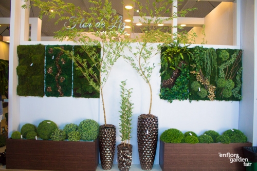 Enflor 2019-3117