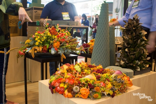 Enflor 2019-3164