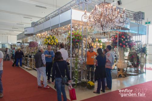 enflor-5886