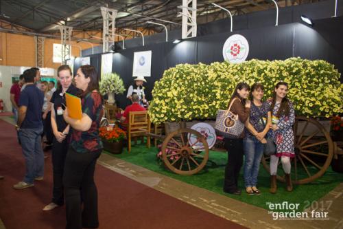 enflor-6042