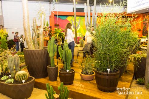 enflor-6056