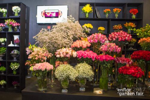 enflor-6074