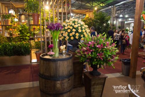 enflor-6081