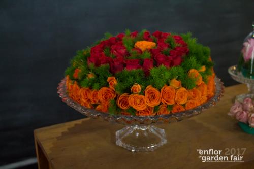 enflor-6086