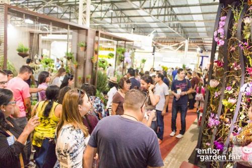 enflor-6087 1
