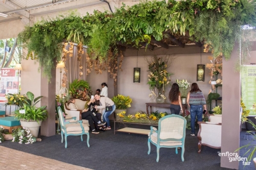 enflor2019-3708