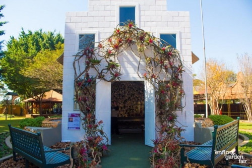 enflor2019-3858