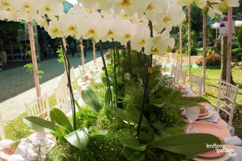 enflor2019-3861