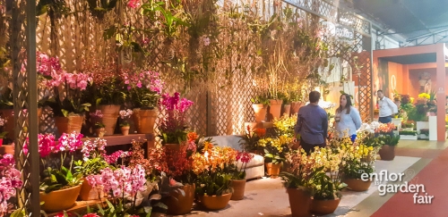 enflor 2018-01