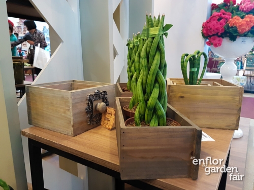 enflor 2018-103305