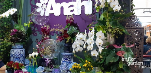 enflor 2018-103954