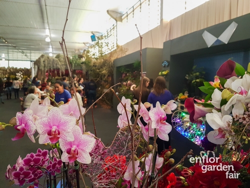 enflor 2018-104322