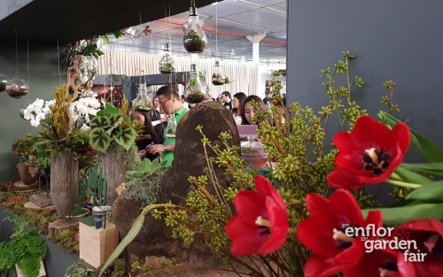 enflor 2018-104329