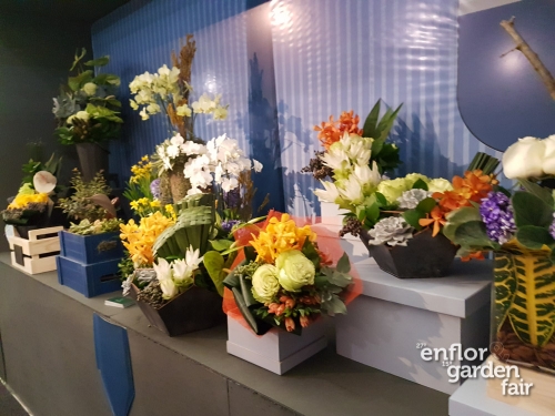 enflor 2018-104433