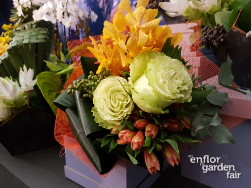 enflor 2018-104511