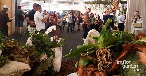 enflor 2018-105238