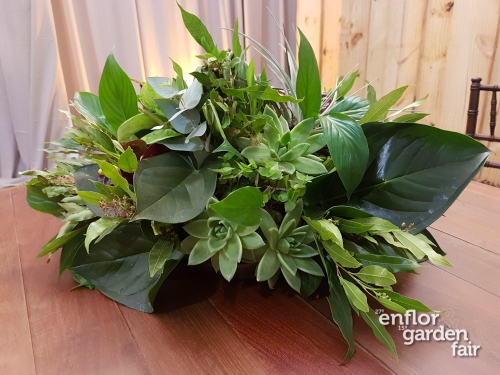enflor 2018-105309