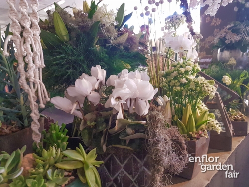 enflor 2018-105937