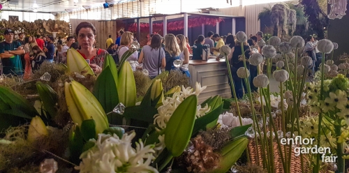 enflor 2018-105941