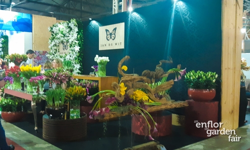 enflor 2018-140343
