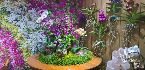 enflor 2018-140435