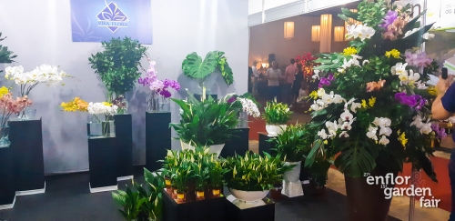 enflor 2018-140604