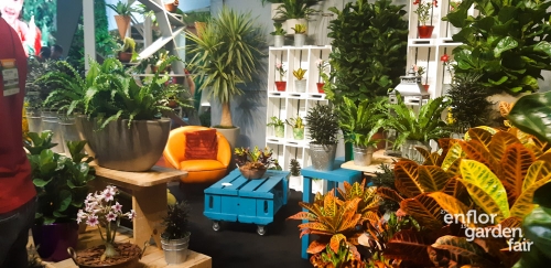 enflor 2018-141135