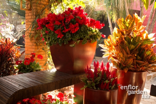 enflor 2018-2136