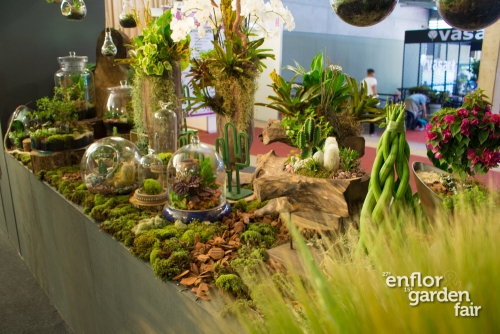 enflor 2018-2183