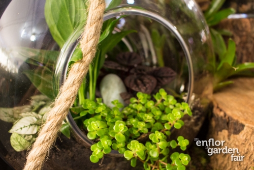 enflor 2018-2188