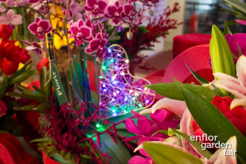 enflor 2018-2189