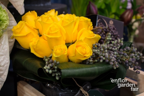enflor 2018-2195