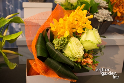 enflor 2018-2196