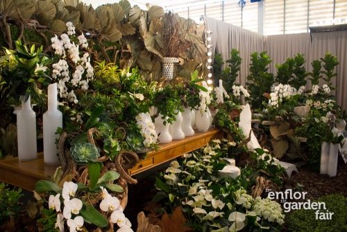 enflor 2018-2246