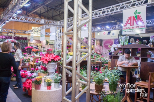 enflor 2018-2346