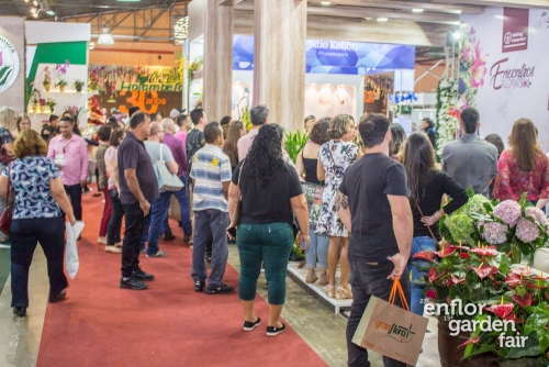 enflor 2018-2355