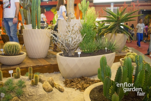 enflor 2018-2372