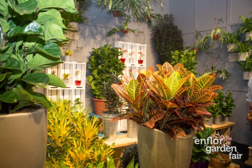 enflor 2018-2374