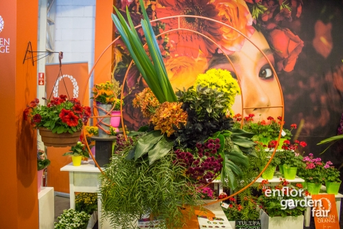 enflor 2018-2381