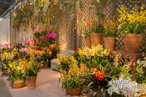 enflor 2018-2382