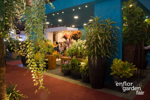 enflor 2018-2383