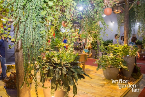 enflor 2018-2385