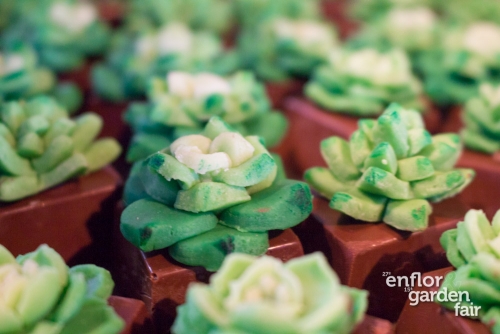 enflor 2018-2443