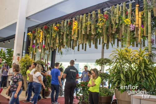 enflor 2018-2469