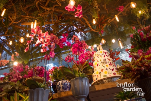 enflor 2018-2564