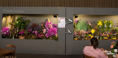 rua-das-flores-3726