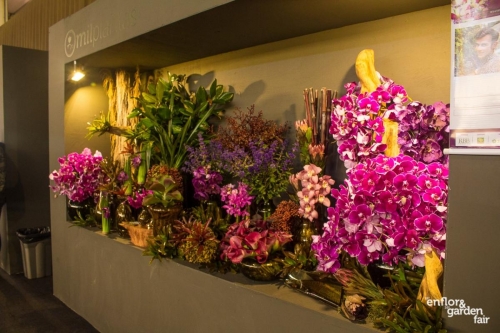 rua-das-flores-3727